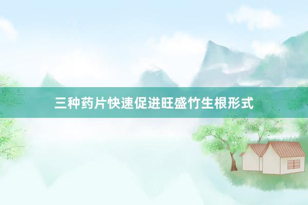 三种药片快速促进旺盛竹生根形式