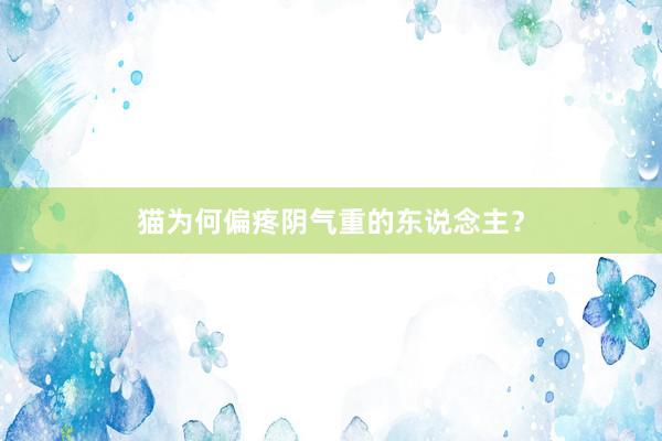猫为何偏疼阴气重的东说念主？