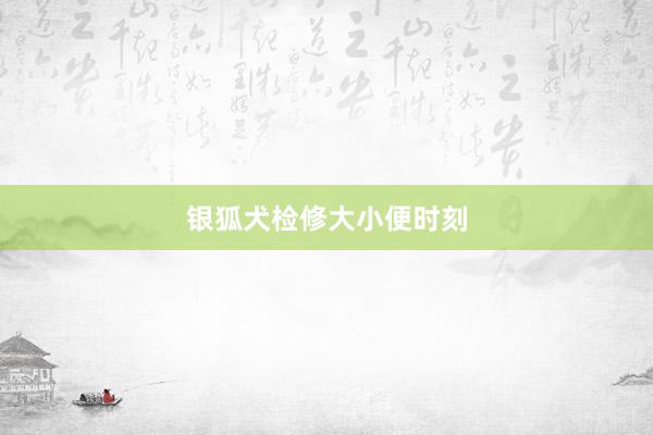 银狐犬检修大小便时刻