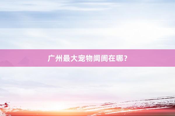 广州最大宠物阛阓在哪？