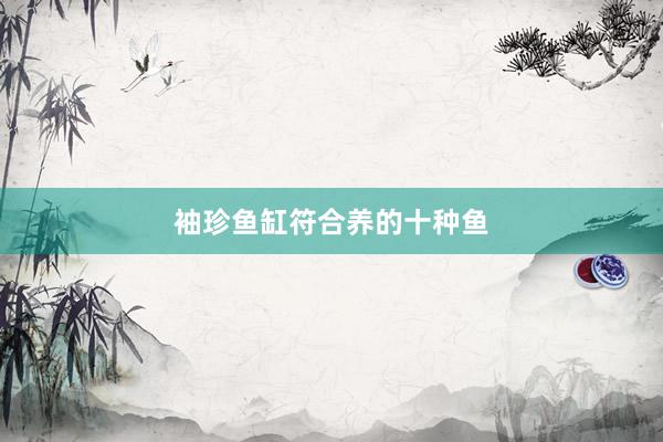 袖珍鱼缸符合养的十种鱼